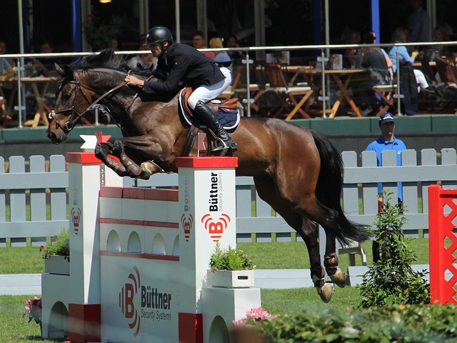 于降低进口 于降低进口