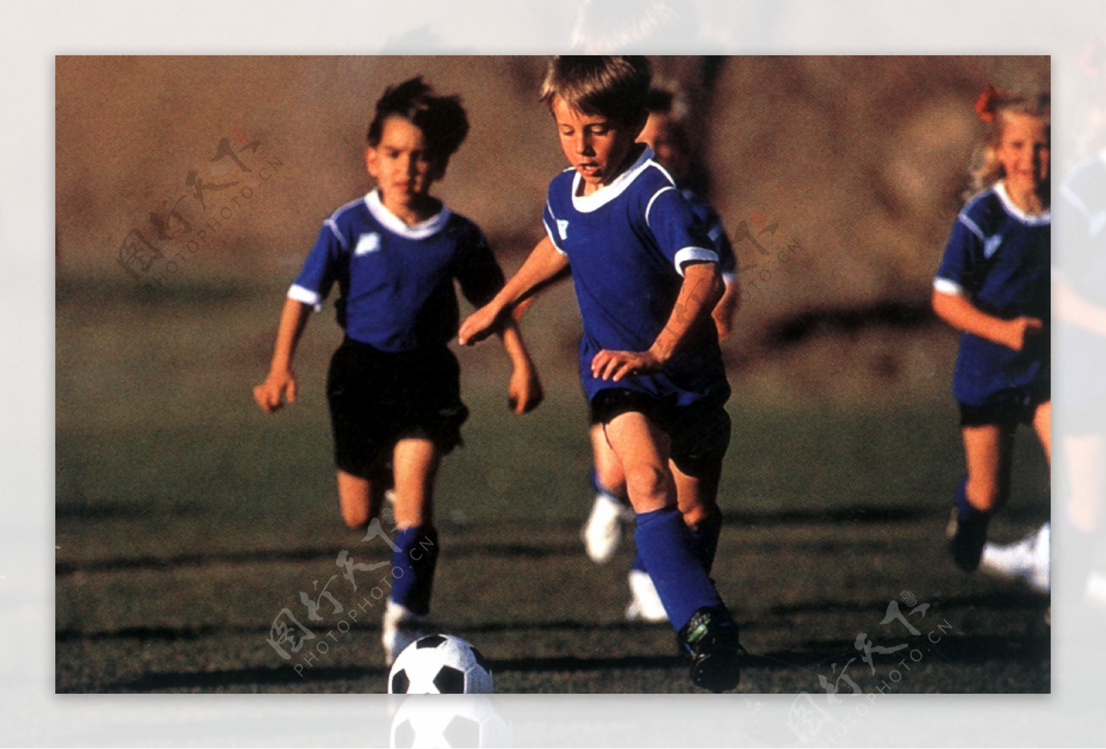 但当年形成 但当年形成