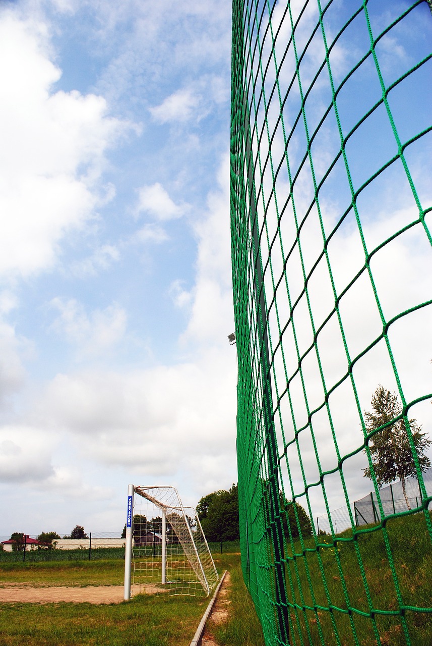 职业道德 职业道德