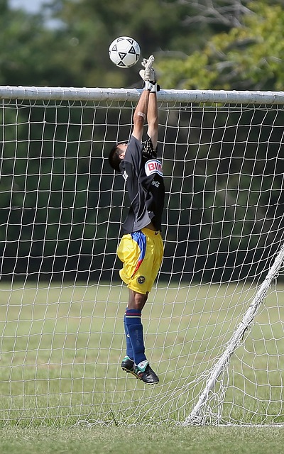 绿军的反扑 绿军的反扑